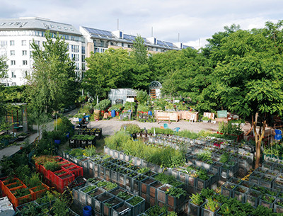 베를린의 별난 정원