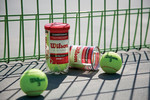 전국 테니스 연합회 공식 사용구인 윌슨 테니스공.