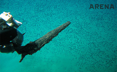 바다 밑바닥에 있는 고래의 턱뼈.